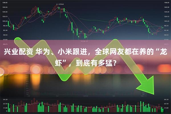 兴业配资 华为、小米跟进，全球网友都在养的“龙虾”，到底有多猛？