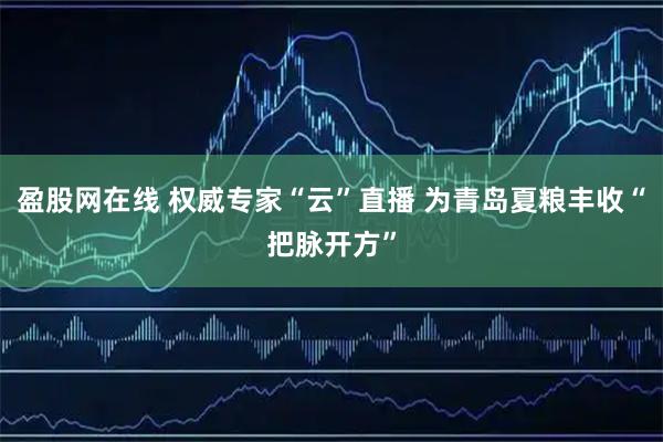 盈股网在线 权威专家“云”直播 为青岛夏粮丰收“把脉开方”